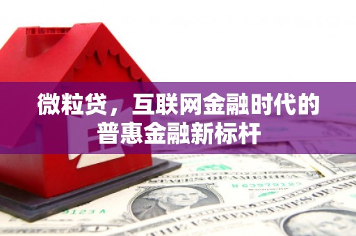 文峰微粒贷，互联网金融时代的普惠金融新标杆