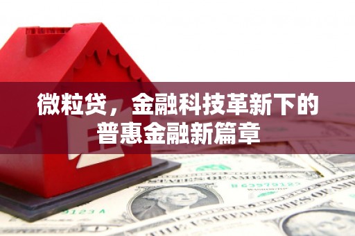 文峰微粒贷，金融科技革新下的普惠金融新篇章