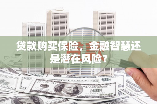 文峰贷款购买保险，金融智慧还是潜在风险？