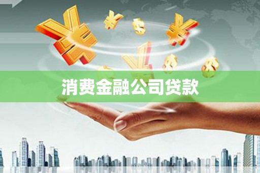 文峰消费金融公司贷款