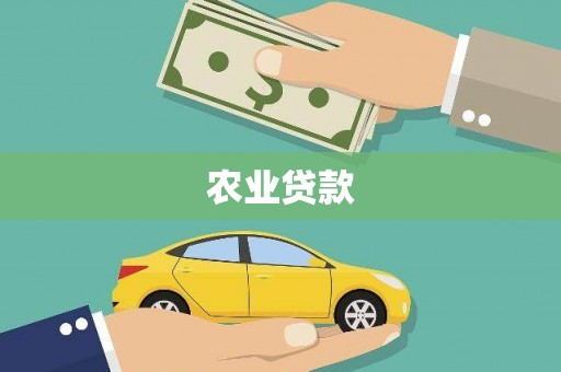 文峰农业贷款