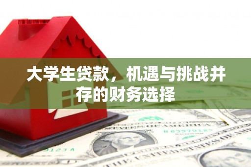文峰大学生贷款，机遇与挑战并存的财务选择