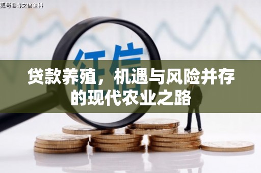 文峰贷款养殖，机遇与风险并存的现代农业之路