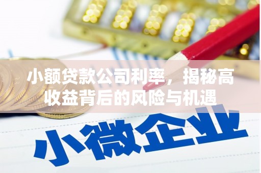 文峰小额贷款公司利率，揭秘高收益背后的风险与机遇