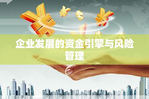 文峰企业发展的资金引擎与风险管理