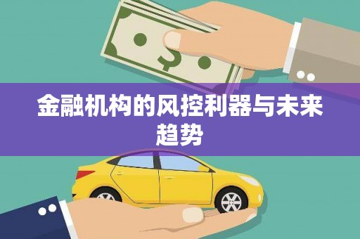 文峰金融机构的风控利器与未来趋势