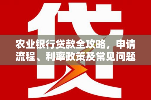 文峰农业银行贷款全攻略，申请流程、利率政策及常见问题解析