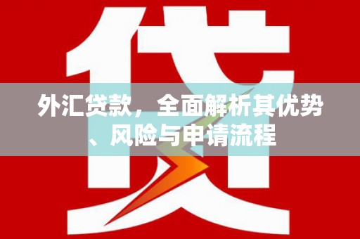 文峰外汇贷款，全面解析其优势、风险与申请流程