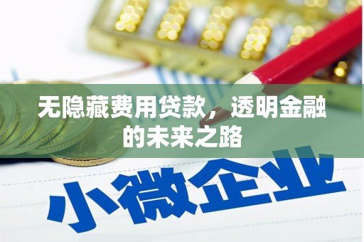 文峰无隐藏费用贷款，透明金融的未来之路