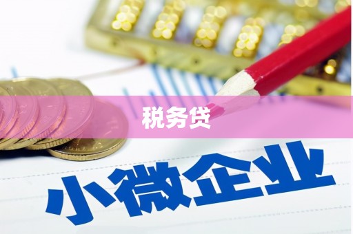文峰税务贷