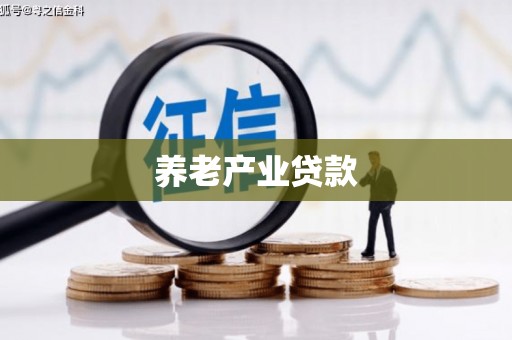 文峰养老产业贷款