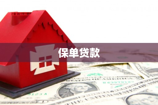 文峰保单贷款