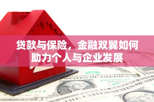 文峰贷款与保险，金融双翼如何助力个人与企业发展