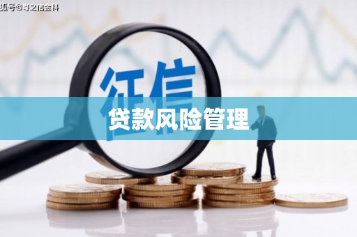 文峰贷款风险管理