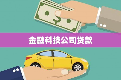 文峰金融科技公司贷款