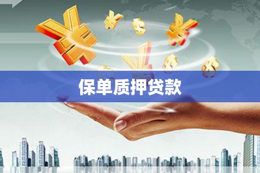 文峰保单质押贷款