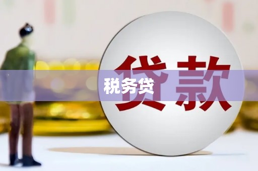 文峰税务贷
