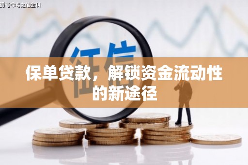 文峰保单贷款，解锁资金流动性的新途径