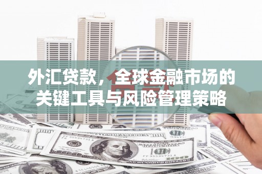 文峰外汇贷款，全球金融市场的关键工具与风险管理策略