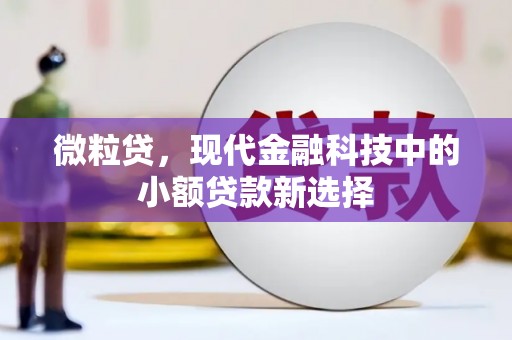 文峰微粒贷，现代金融科技中的小额贷款新选择