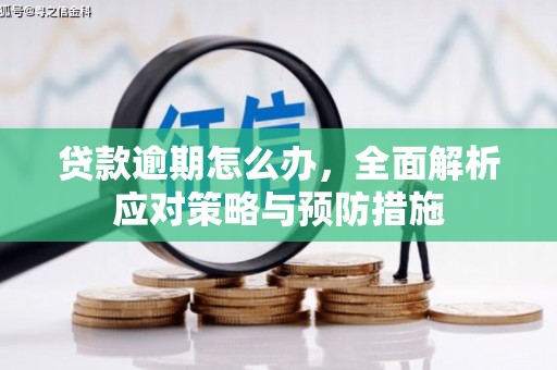 文峰贷款逾期怎么办，全面解析应对策略与预防措施