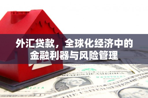 文峰外汇贷款，全球化经济中的金融利器与风险管理