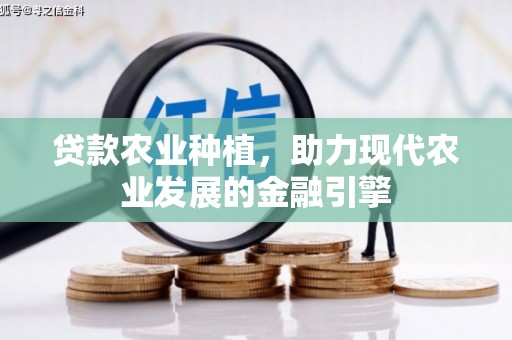 文峰贷款农业种植，助力现代农业发展的金融引擎