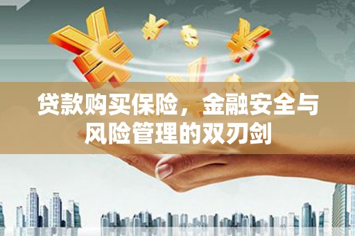 文峰贷款购买保险，金融安全与风险管理的双刃剑