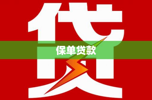 文峰保单贷款
