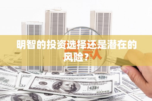 文峰明智的投资选择还是潜在的风险？