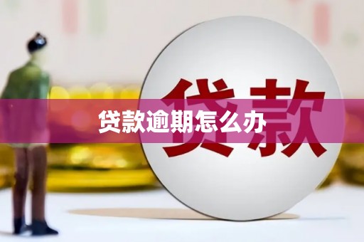 文峰贷款逾期怎么办