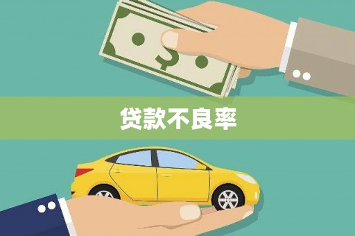 文峰贷款不良率