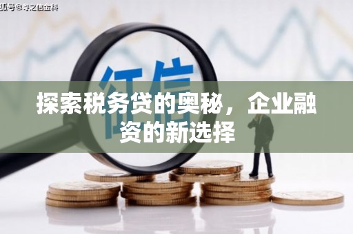 文峰探索税务贷的奥秘，企业融资的新选择