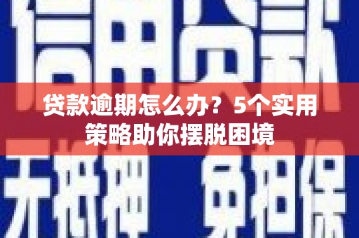 文峰贷款逾期怎么办？5个实用策略助你摆脱困境
