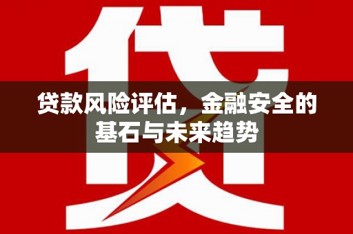 文峰贷款风险评估，金融安全的基石与未来趋势