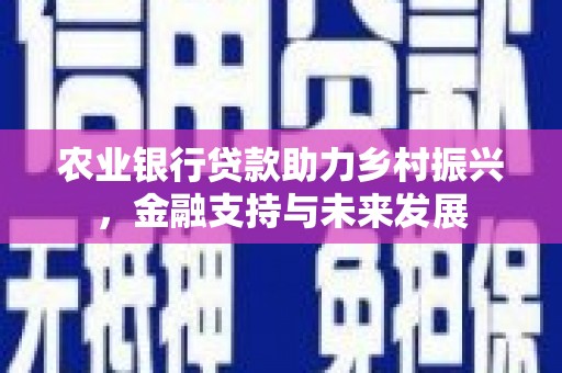 文峰农业银行贷款助力乡村振兴，金融支持与未来发展