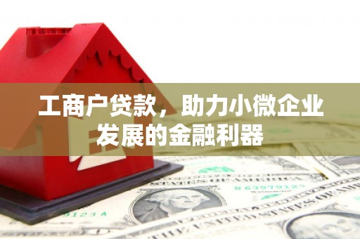 文峰工商户贷款，助力小微企业发展的金融利器