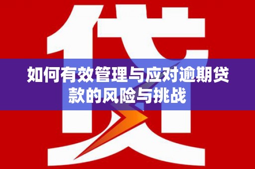 文峰如何有效管理与应对逾期贷款的风险与挑战