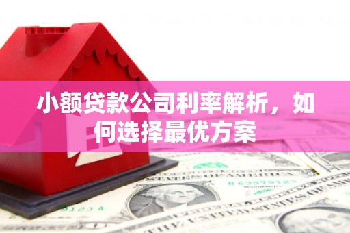 文峰小额贷款公司利率解析，如何选择最优方案