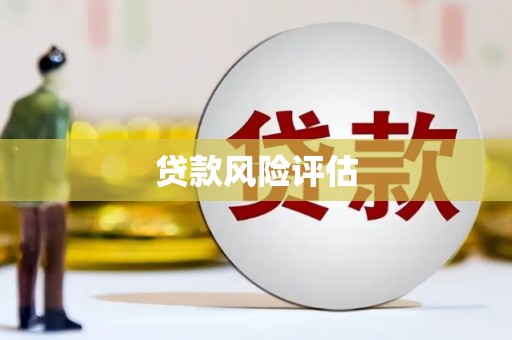 文峰贷款风险评估