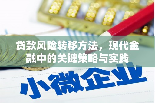 文峰贷款风险转移方法，现代金融中的关键策略与实践