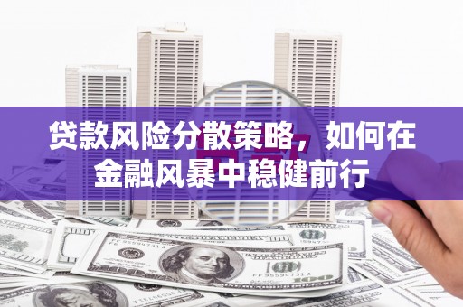 文峰贷款风险分散策略，如何在金融风暴中稳健前行