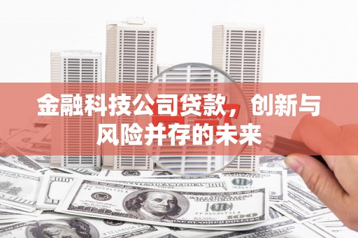 文峰金融科技公司贷款，创新与风险并存的未来