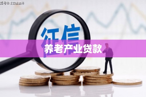 文峰养老产业贷款