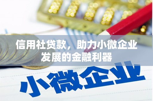 文峰信用社贷款，助力小微企业发展的金融利器