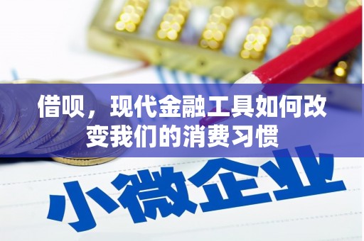 文峰借呗，现代金融工具如何改变我们的消费习惯