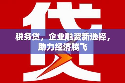 文峰税务贷，企业融资新选择，助力经济腾飞