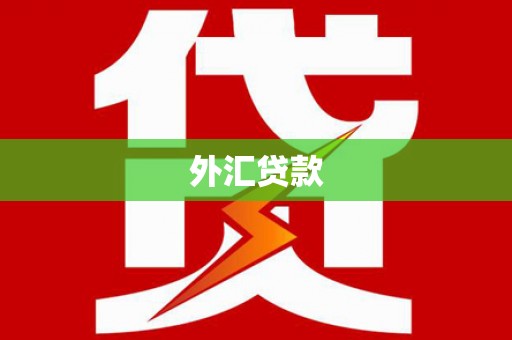 文峰外汇贷款