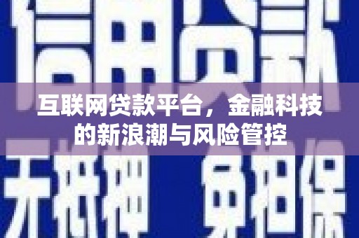 文峰互联网贷款平台，金融科技的新浪潮与风险管控