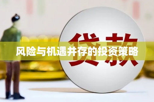 文峰风险与机遇并存的投资策略